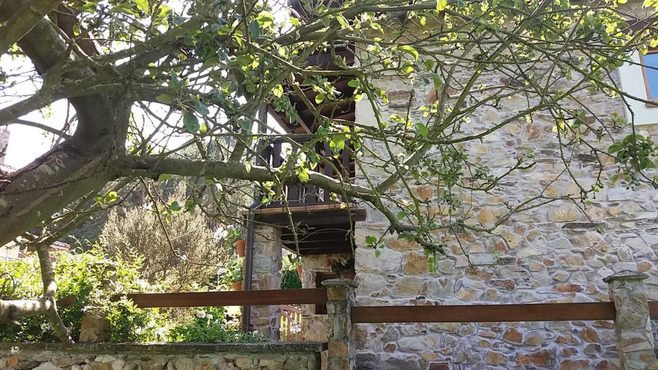 فيلا La Casina De Abo San Juan de Pinera المظهر الخارجي الصورة